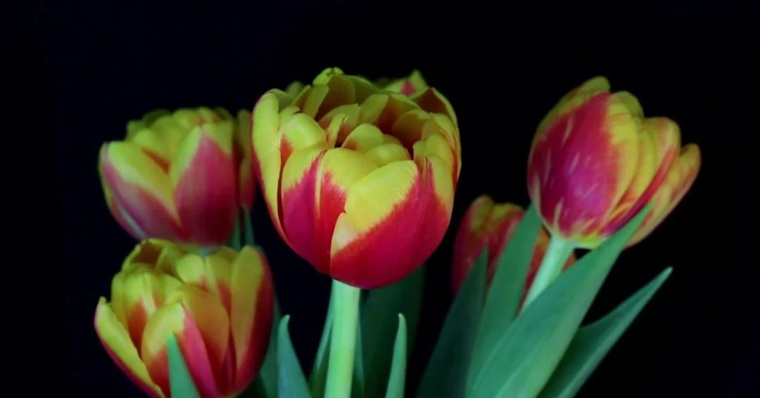 Welcome to Our Store